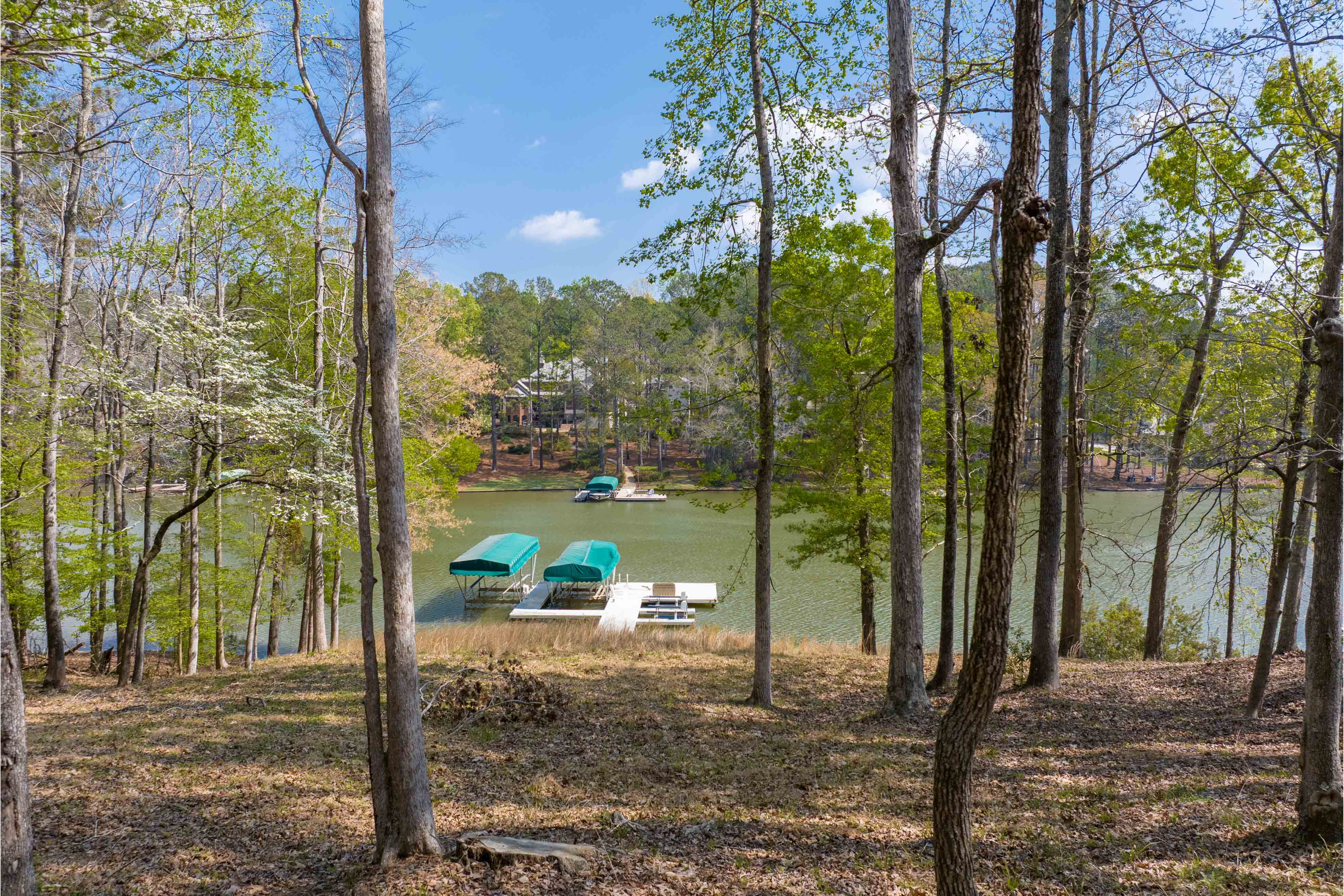 1161 Davison Drive image 9